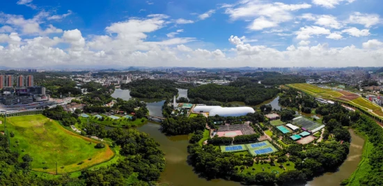 为什么可靠的篮球技术指导对初学者很重要?_0